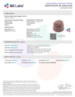 XITE - DUBAI NUGGETS