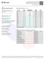 XITE - DUBAI NUGGETS